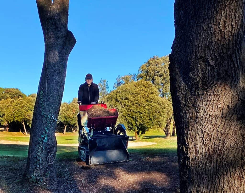 Gezonde boomverzorging in het park door vakbekwame boomverzorger van Geert-Jan de Kok B.V.